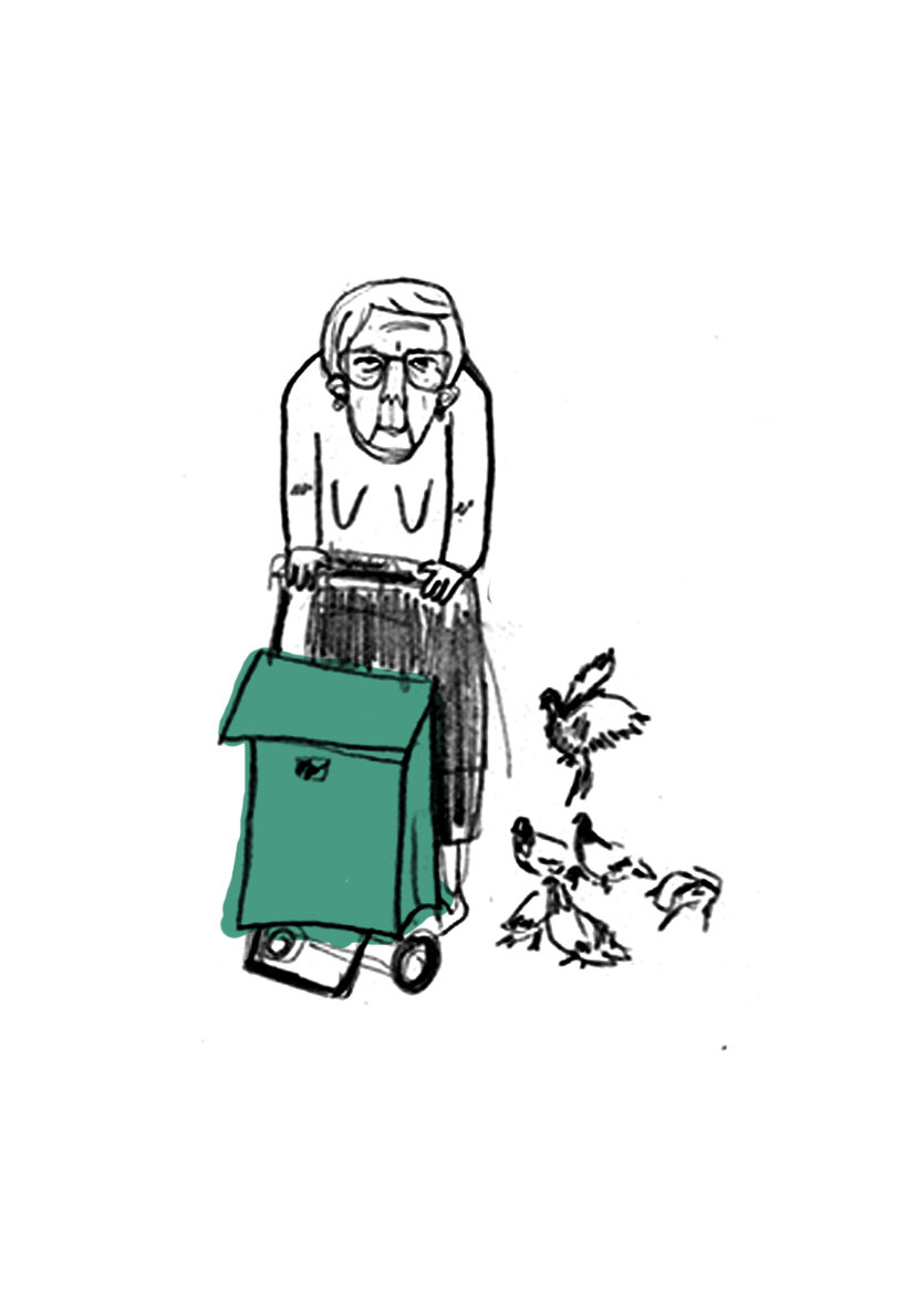   Carmina culpa al ayuntamiento, lo que le mueve a hacer este activismo suyo día sí, día también, es su angustia porque las aves mueran, y entonces vengan plagas de langostas y mosquitos y acaben con todo. Carmina está convencida de que esta situación es una señal del cielo, el señor nos está diciendo algo.  